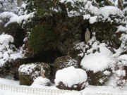 雪景色[2].jpg